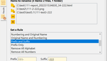 Metamorphosec AssistToRename screenshot