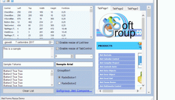 .Net Forms Resize screenshot