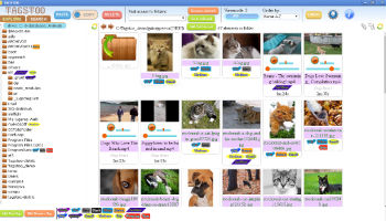 Tagstoo windows screenshot