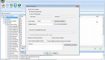 SQL Database Recovery screenshot