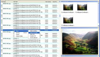 Duplicate Checker screenshot
