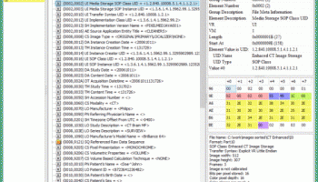 Makhaon DICOM Dump screenshot