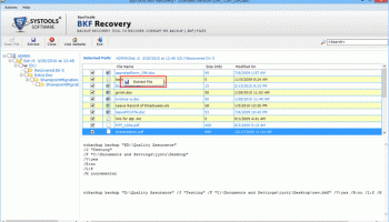 BKF Recovery screenshot