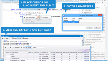 LINQ Insight screenshot