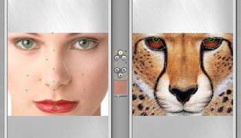 Abrosoft FantaMorph Standard Edition screenshot