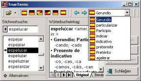 TrueTerm Spanish Dictionaries Bundle screenshot