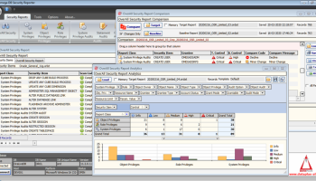 Omega DB Security Reporter screenshot