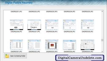 Photos Undelete Program screenshot
