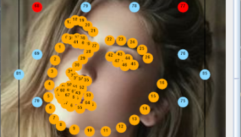 Morphing Editor screenshot