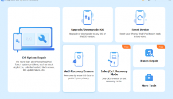 iOS System Recovery screenshot