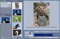 Picture Gallery screenshot