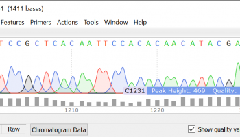 SnapGene Viewer screenshot