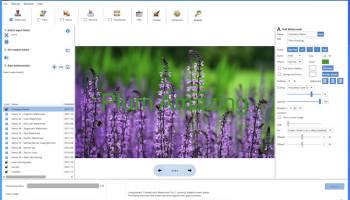 iWatermark Pro 2 for Windows screenshot