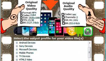 Video File Converter screenshot