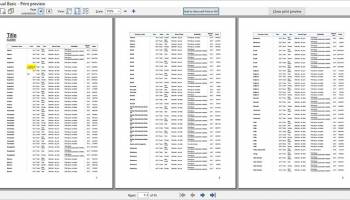 BSPrinter Print Preview for VB6 screenshot