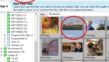 MaxDataGenius screenshot