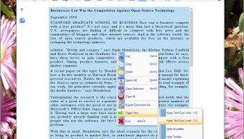 SSuite Writers D-Lite screenshot