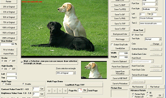 Viscomsoft Image Viewer CP Pro SDK screenshot