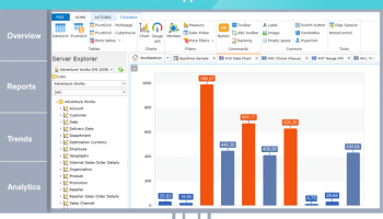 Ranet OLAP for WPF/Silverlight screenshot