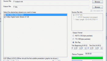 TSremux screenshot