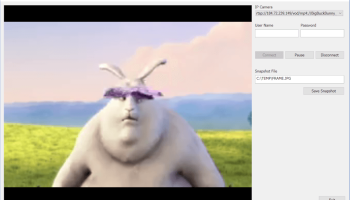 IP Camera Directshow Filter screenshot