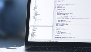 Vue Injector screenshot
