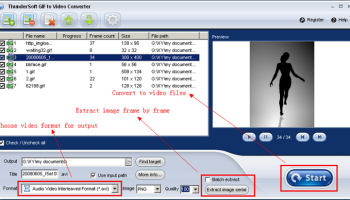 ThunderSoft GIF to Video Converter screenshot
