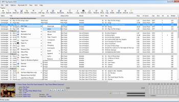 MP3 Tag Express screenshot