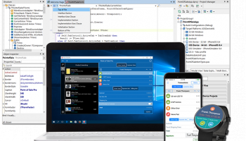 RAD Studio screenshot