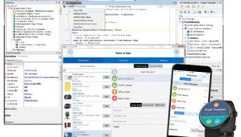 RAD Studio XE8 screenshot