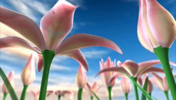 Flowers Meadow 3D screenshot