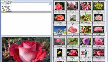 Able Image Browser screenshot