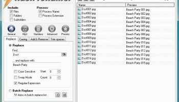 Flash Renamer screenshot