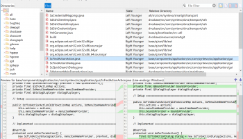 SmartSynchronize screenshot