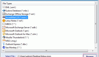 IMM Viewer screenshot