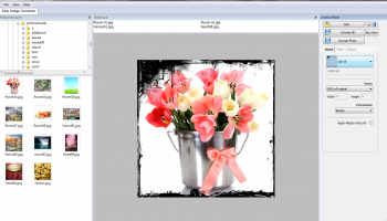 VISCOM Easy Image Converter screenshot