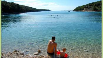 IrfanView screenshot