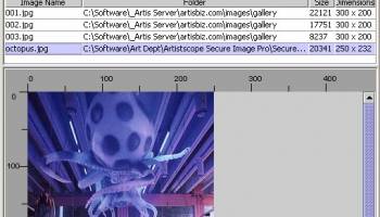 Copysafe Web Protection screenshot