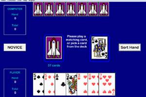 Crazy Eights Deluxe screenshot