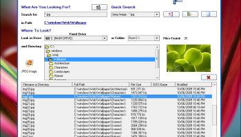 SSuite Desktop Search Engine screenshot