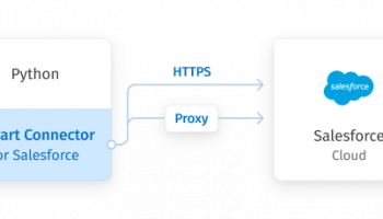 Salesforce Python Connector by Devart screenshot