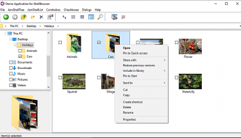 ShellBrowser Delphi Components screenshot