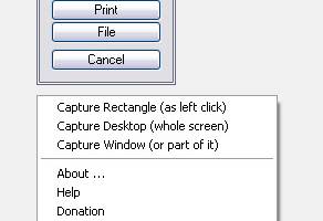 Screen Capture + Print screenshot