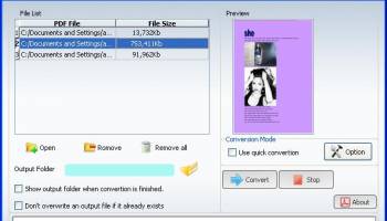 PDF to PDF/A Conversion Tool screenshot