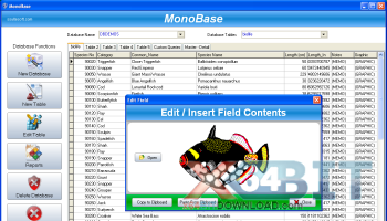 SSuite Office - MonoBase screenshot
