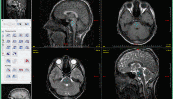 Makhaon Workstation screenshot