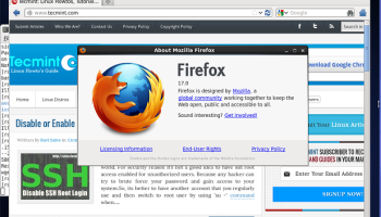 Firefox 17 screenshot