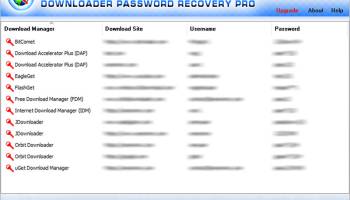 Downloader Password Recovery Pro 2024 screenshot