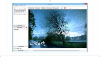 uMark Professional screenshot