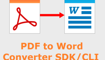 VeryUtils PDF to Word Converter SDK CLI screenshot